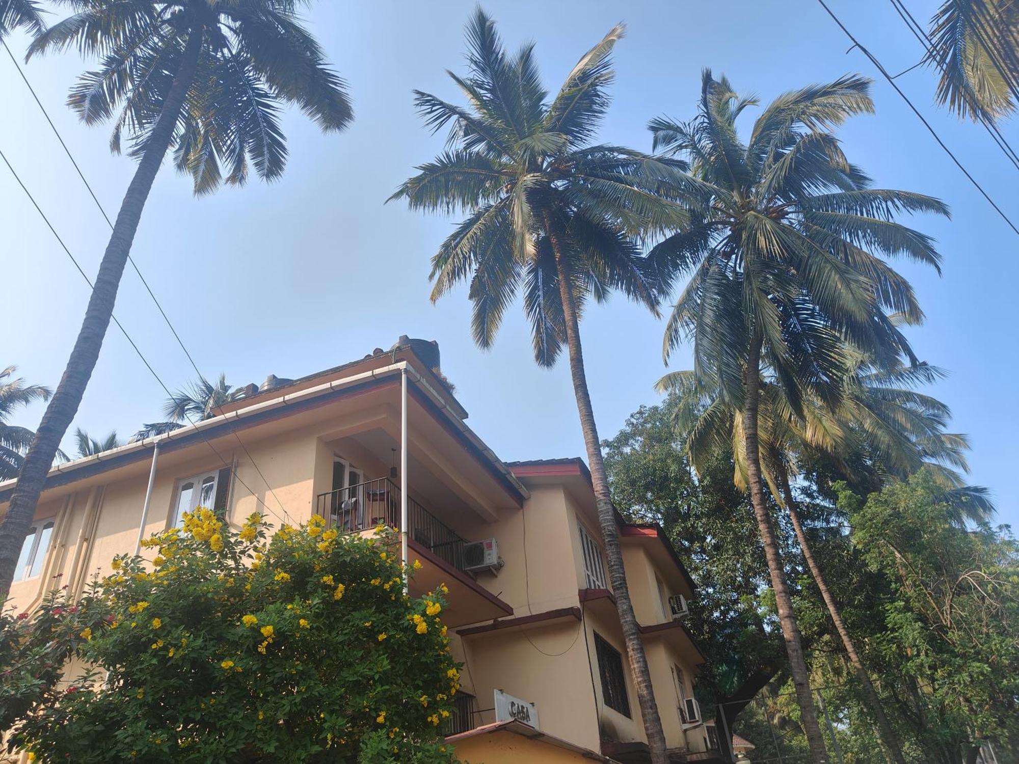 Casa Euphoria Apartments Calangute Eksteriør billede